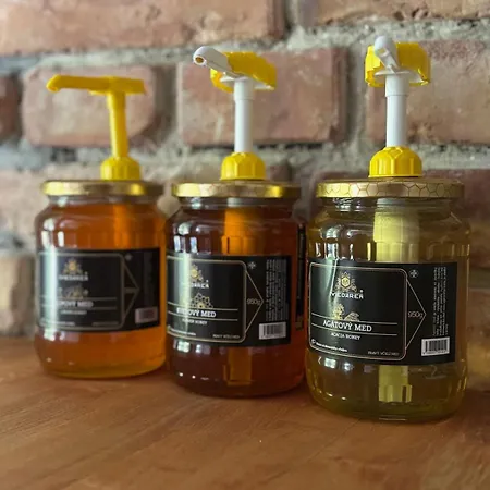 Διαμέρισμα Good Vibes&honey Old Town Μπρατισλάβα